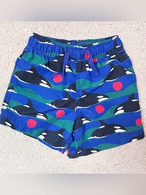Hanna Andersson Swim Trunks (Size 3)